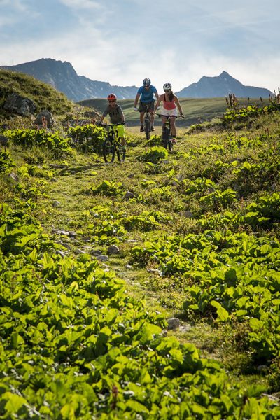 Walk in the Lauzette valley - VTTAE itinerary