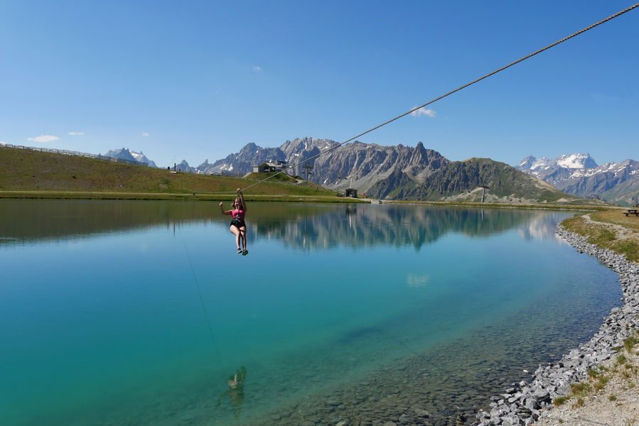 The Eaglet zip wires