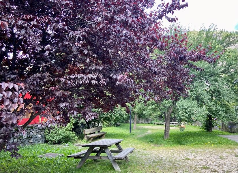 Picnic area in the Town Hall gardens