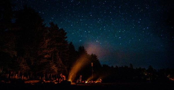 Werewolf Evening