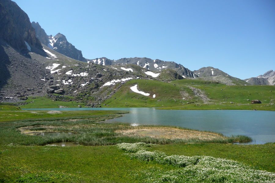 AAPPMA de Valloire - The trout of Aiguille Noire