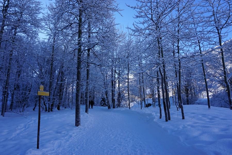 Walk to the hamlet of Les Verneys - Hiking itinerary_Valloire