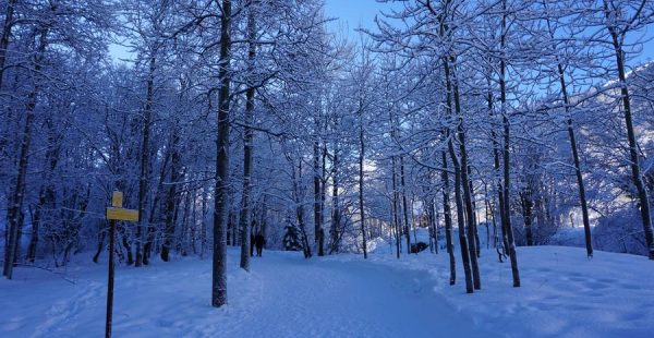 Walk to the hamlet of Les Verneys - Hiking itinerary