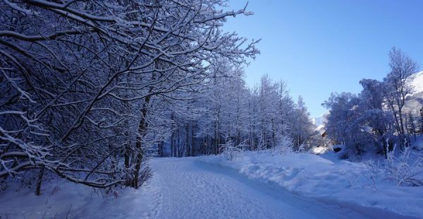 Boucle de Valloire aux Verneys - Hiking trail