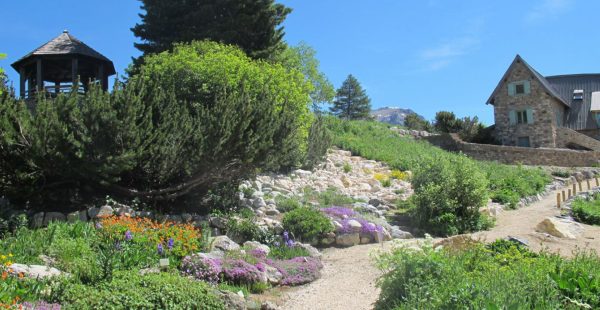 Visit and entertainment in the Garden of Lautaret