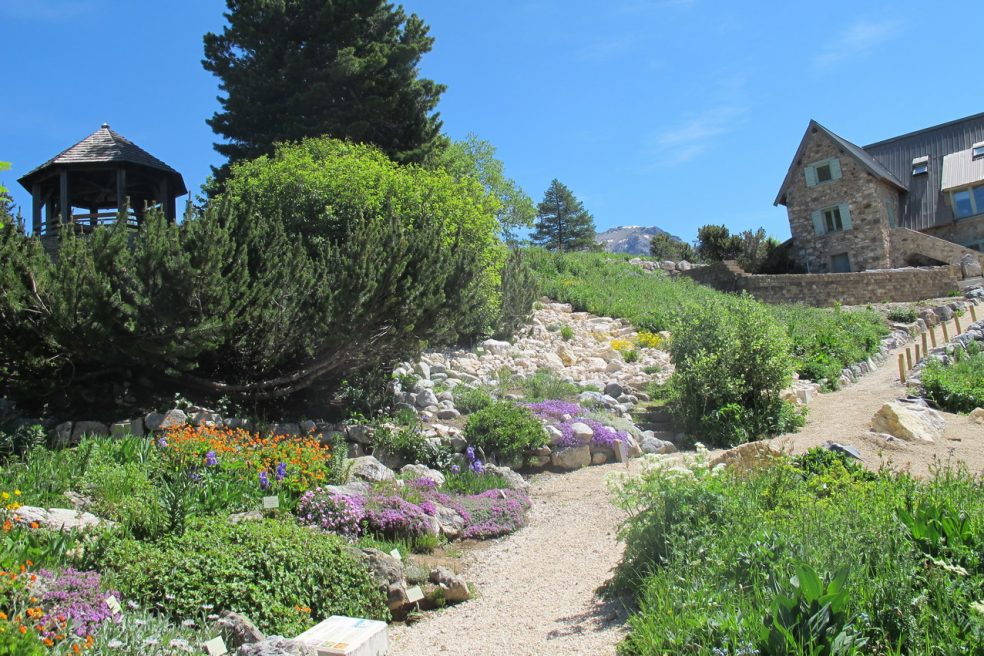The Lautaret Garden