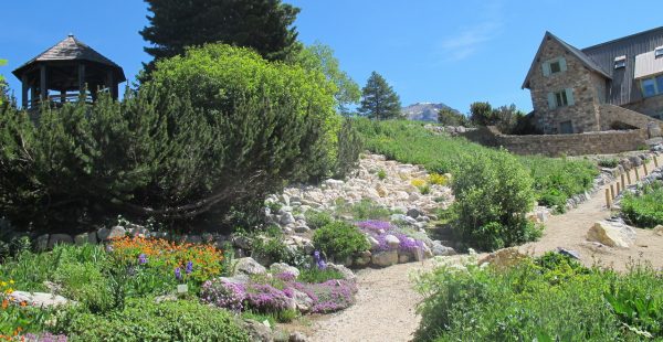 The Lautaret Garden
