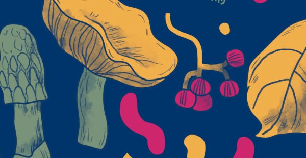 Conference: Mushrooms, uses, culture and territory