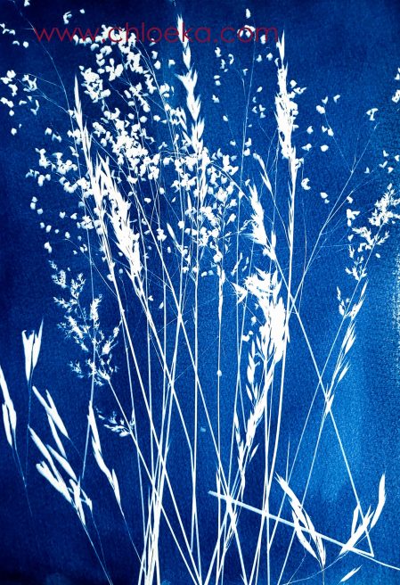 Cyanotype workshop_Valloire