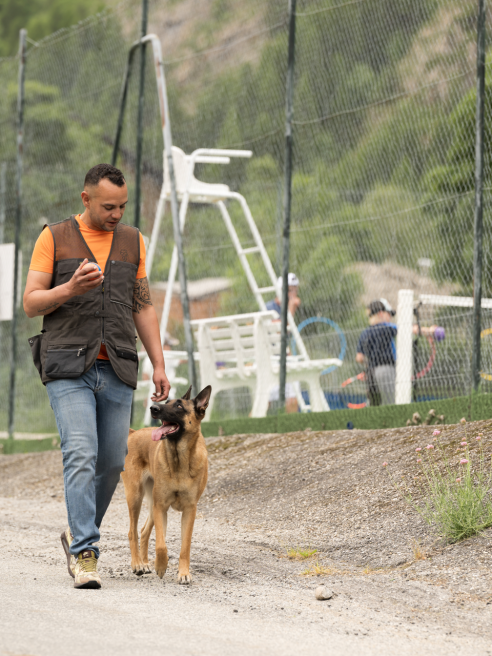 Dog training with Work'n'Dog Adacemy