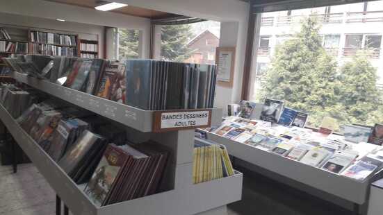 Library - Multimedia room
