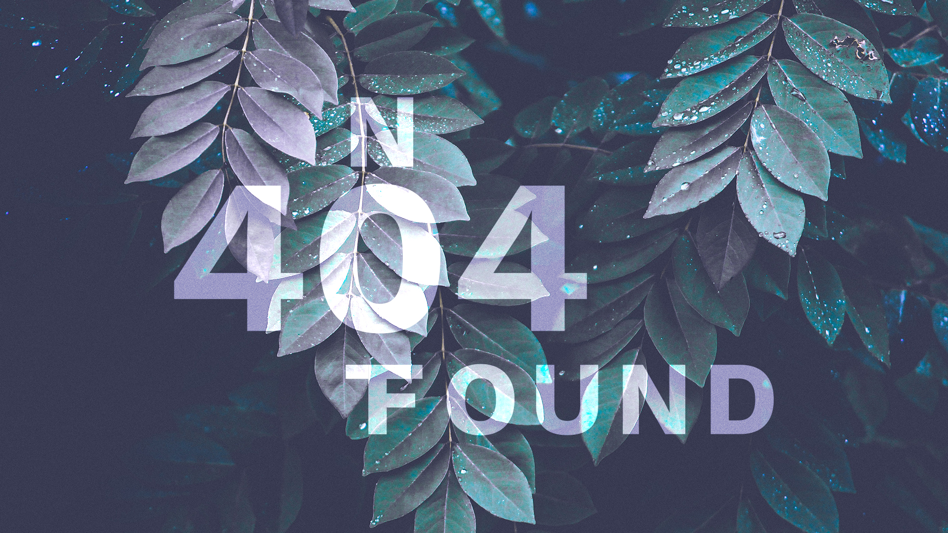 404 - not found