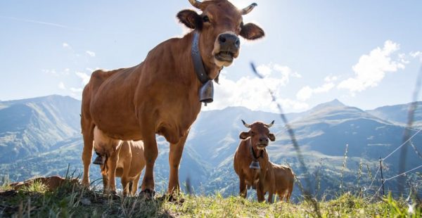 Your short stay or week-end in Valloire this Summer
