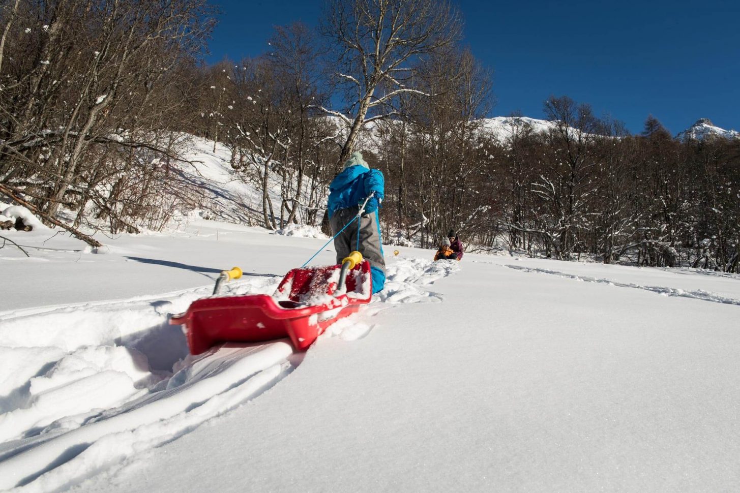 Parmi les activités à faire avec des enfants : la luge !