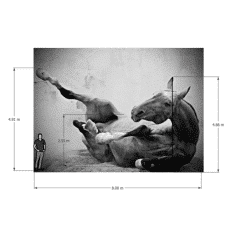 Rêve de liberté (Dream of freedom)