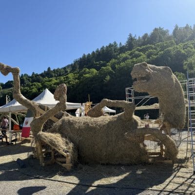IMG_3824