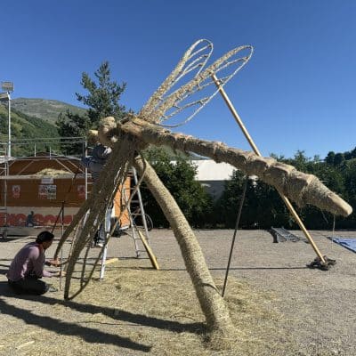 IMG_3839
