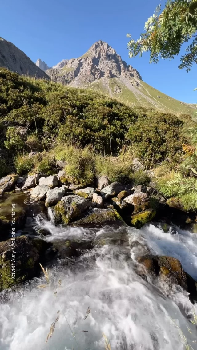En direct 💦 Des torrents de fraîcheur au pied du Galibier 🥰 

#valloire #galibier #valloiregalibier #été #torrent #fraicheur #montagne #rando #vtt #mtb #alpes #savoie